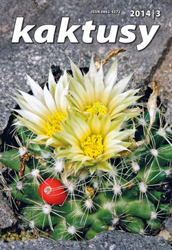 Obálka Kaktusy 3/2014