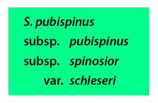 Srovnávací tabulka 2